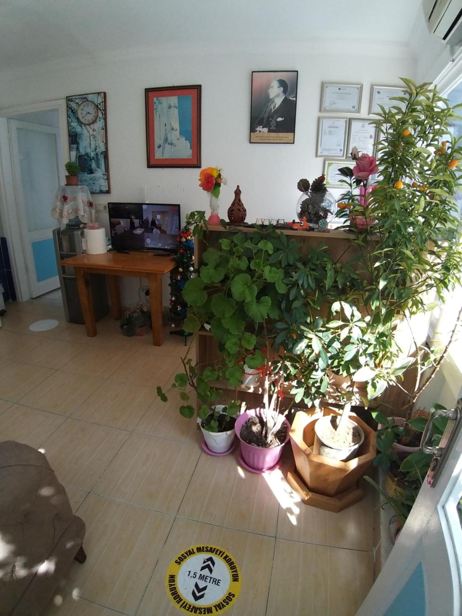 Çeşme Beyaz Apart Pansiyon מראה חיצוני תמונה